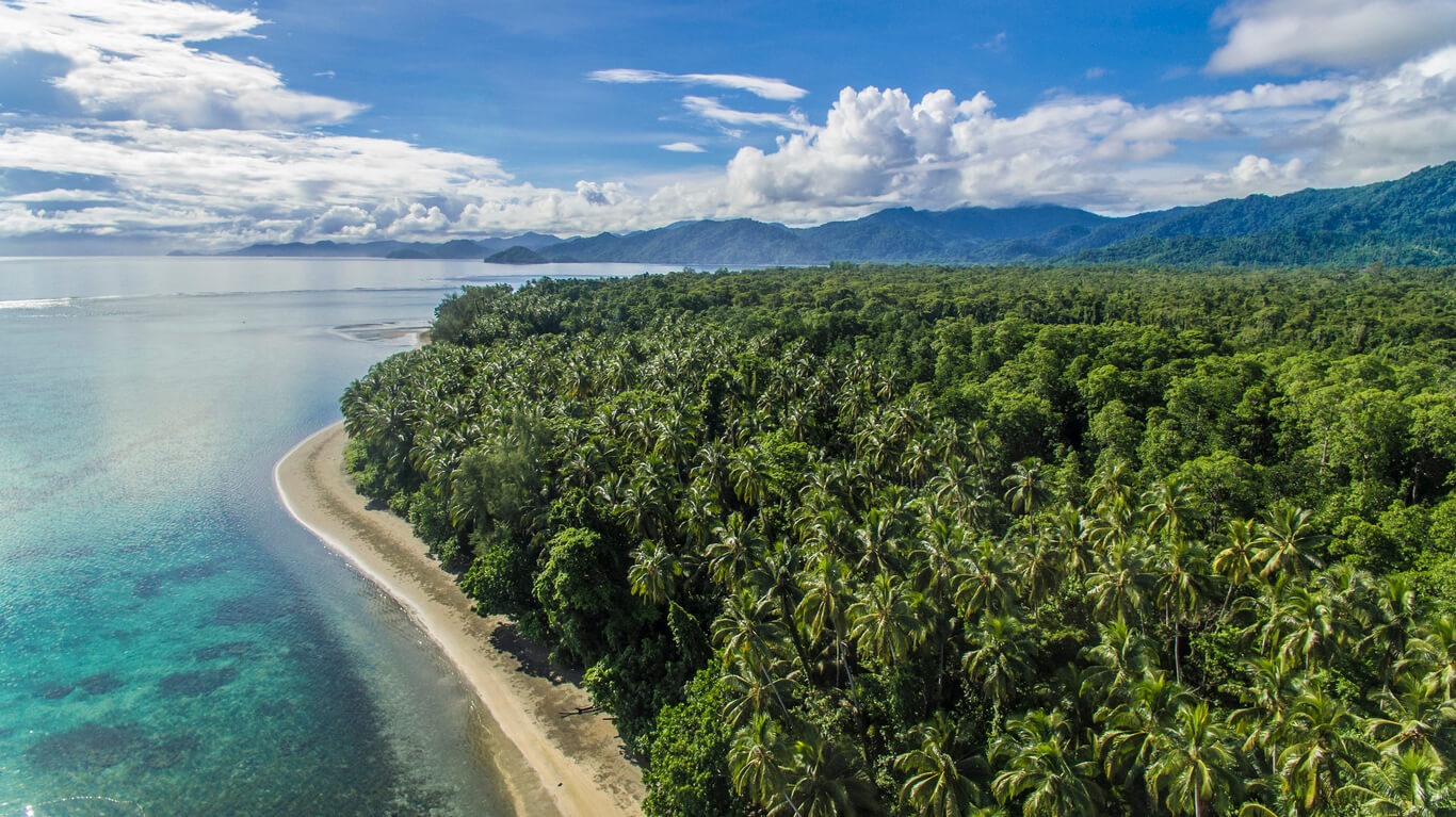 Quelle est la température ressentie dans les îles Salomon en août ?